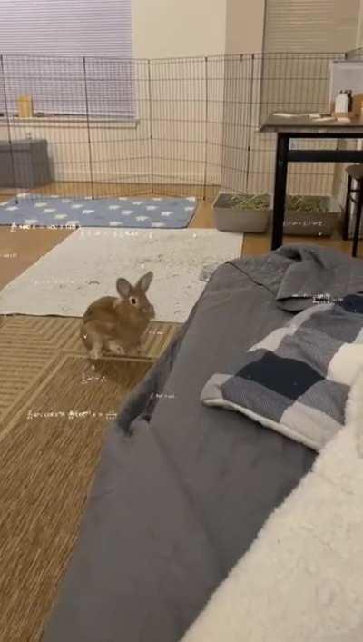 A calculated jump by a quick learner.