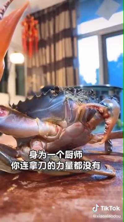 Only 1 minute and still better than most stupid shark movies.