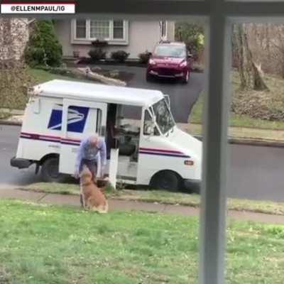 Winnie the golden retriever's favorite time of the day is when the mailman passes by to deliver mail. Winnie and the mailman have become best of friends.
