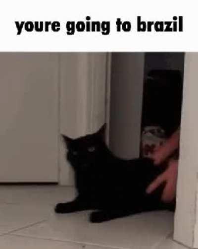 I am Brazilian so all the votes must be like