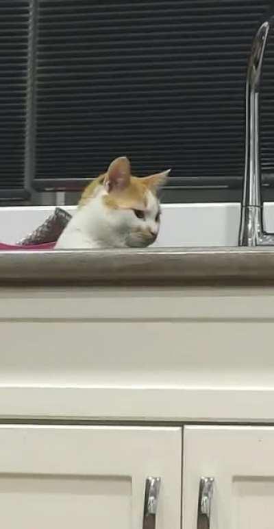 George doesn't like being called cute.