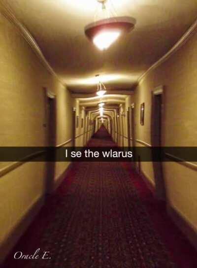 Have y’all met the Ambien walrus?? (Been a few years since my experience, and I barely remember anything)