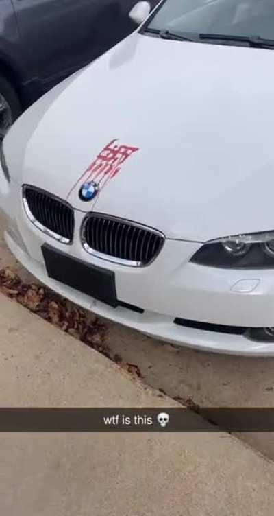 Look what I found outside my uni this morning