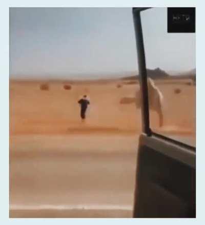 How to get a camel off the road