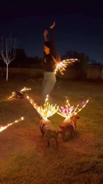 They got into the red bull…..