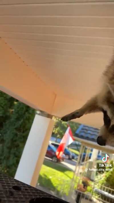 Teamwork makes the dream work