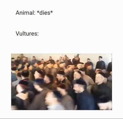 Ring around the rosie