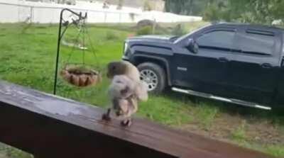 No flotation device today, just chilling.