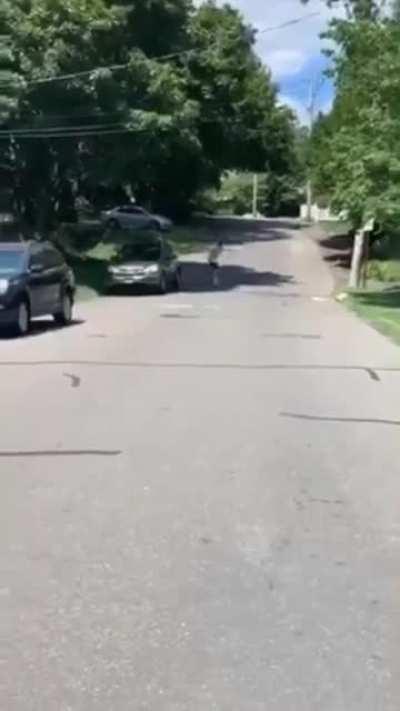 Skateboarding and descent don't match.