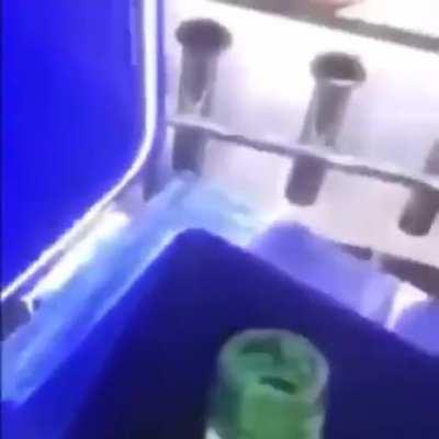 Enjoys the last summer days