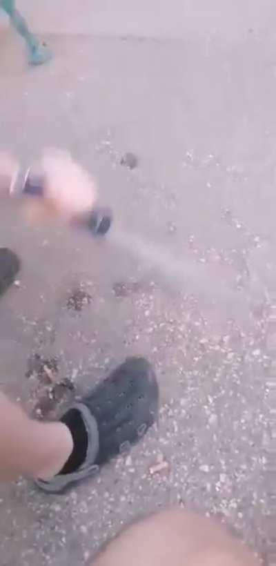 only in hungarian buszmeg