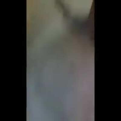 Start the wacky music