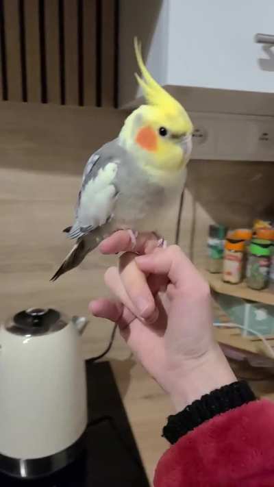 He doesn't care anymore...