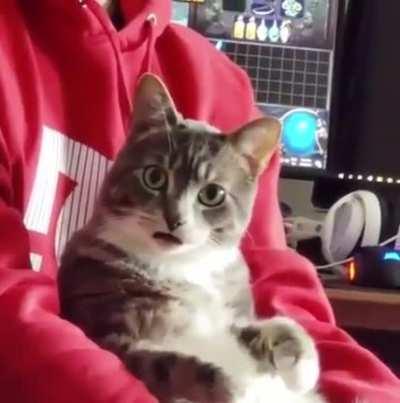 Da HELL did you just say?