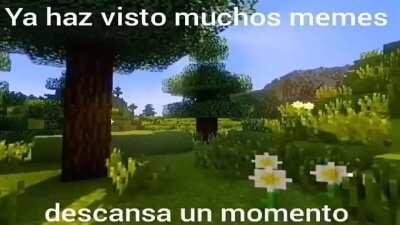 Webadas - Video #4170