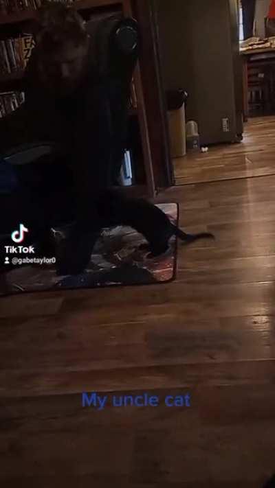 Here is my uncle's cat Murray and sorry about the audio and the person in the video is my dad not my uncle