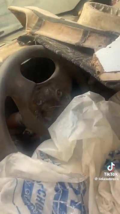 Que fita hein rapaziada...