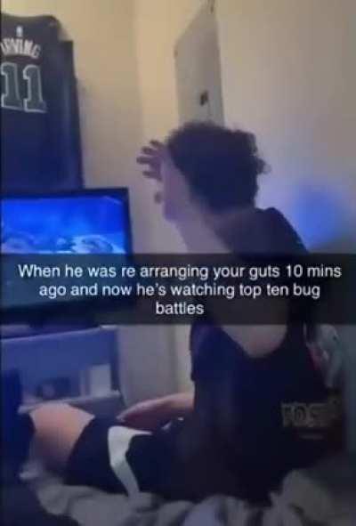 Bug Fights are cool 😎