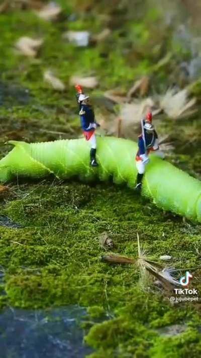 I'm gonna place these here..