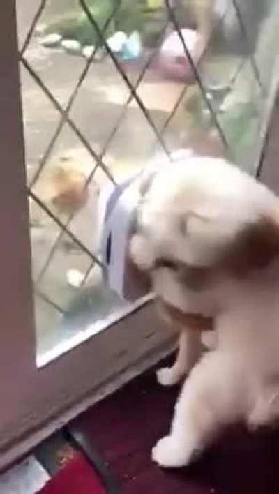 Help, step-bro, i'm stuck!