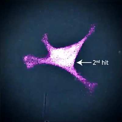 Killer-T wasn't playing around this time.