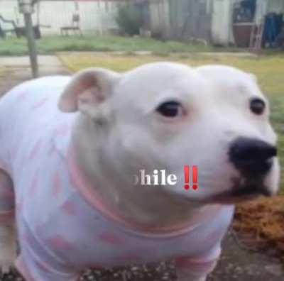 Discord theft 7.0 (g*nshin 🤢🤮)