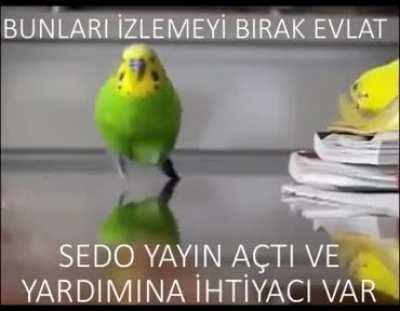 Hermes: (uh...... how beautiful)