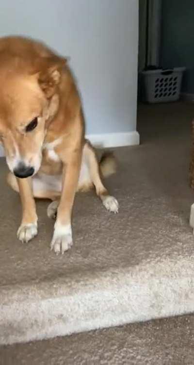 The old lady is happy I’m home from work