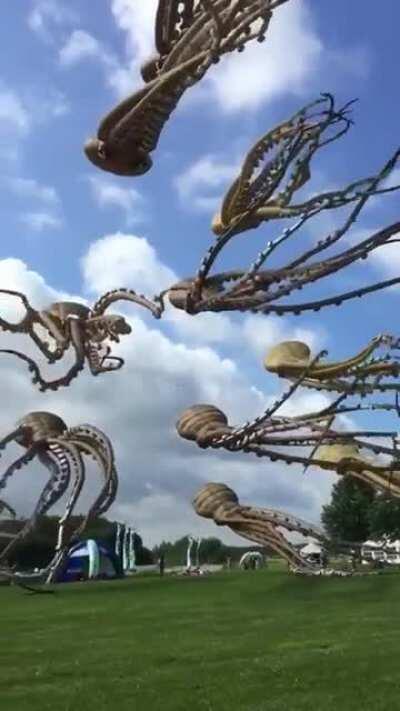 I want the octopus kites.