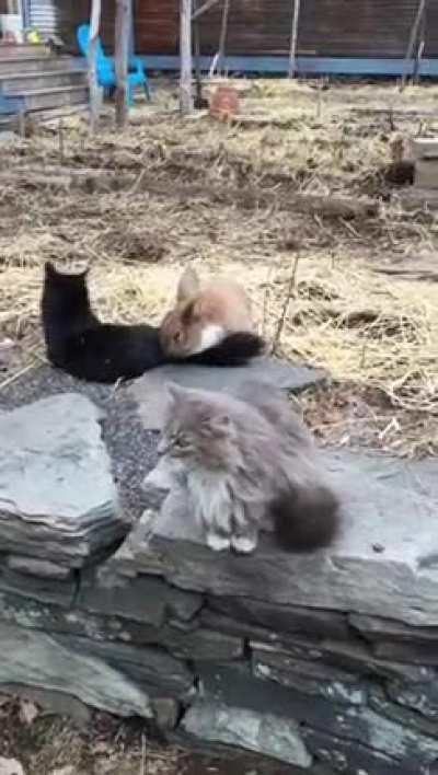 His hormones are on fire!