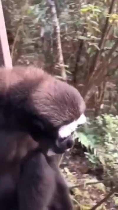 Orslok al empezar directo