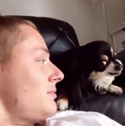 Please can I have one little lick?