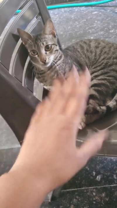 Is he just playing or does not like me at all?