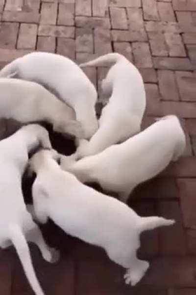 *Interstellar music*