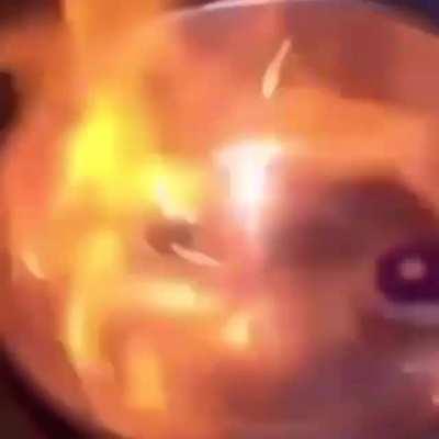 Whats the song of this?