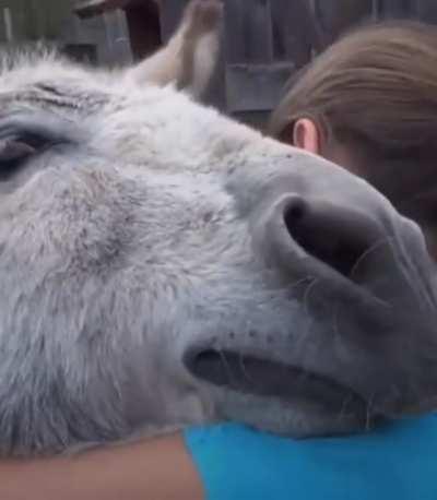 Thanks, I love reunions