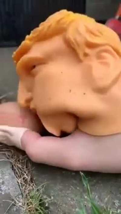 What in sweet Jesus name is this??