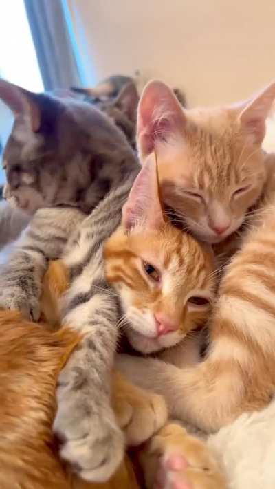 Too awesome to be real