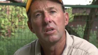 Golden Retriever foster mom