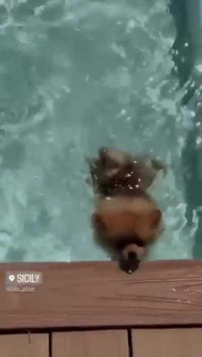 Diletta si rilassa in Sicilia , insieme a Lillo il suo cane.