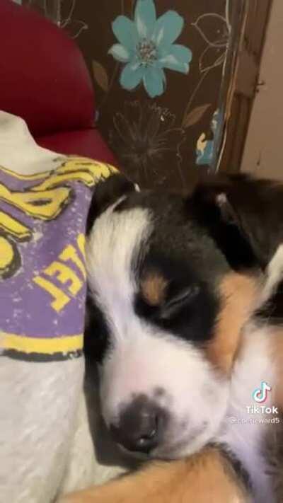 Not ready to wake up.