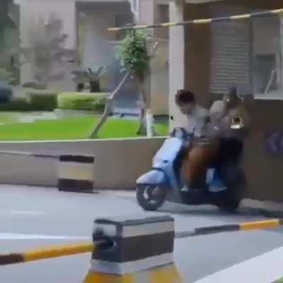 When your friend needs a cool motorcycle