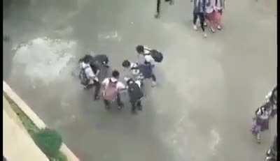 Just vibin guys with a bird