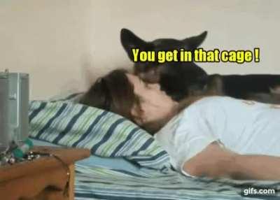 You get in that cage!