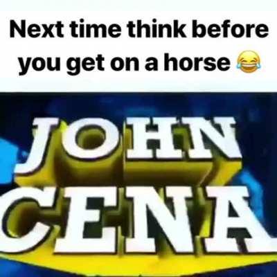 This horse would have a good career in WWE😳