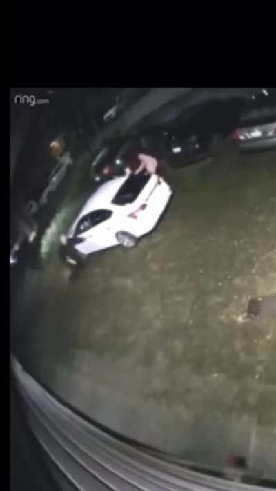 Some people get all the fun