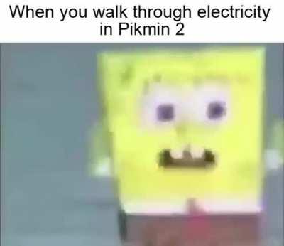 fried all my pikmin bruh