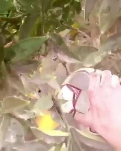 Made me lose focus for a little