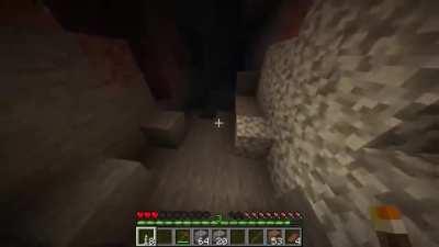 Guys, since when did Minecraft get jump scares?