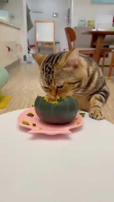 I just love me a good pumpkin